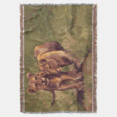 Couverture Lion Cubs (devant Vertical)