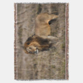 Couverture Lion d'Afrique Lance Blanket (devant Vertical)