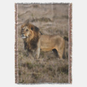 Couverture Lion d'Afrique Lance Blanket (devant Vertical)