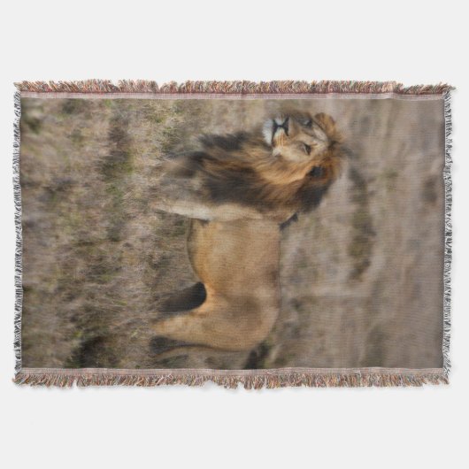 Couverture Lion d'Afrique Lance Blanket (Devant)