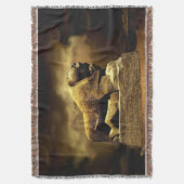 Couverture lion de babel (devant Vertical)