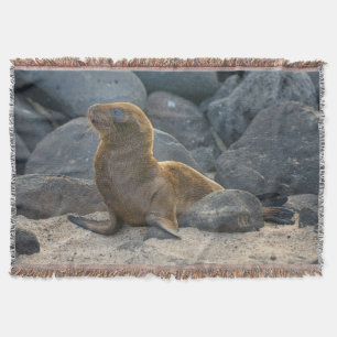 Couverture Lion de mer des Galapagos