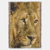 Couverture Lion Visage Tête Faune Chat Animal Jeu Blanche (devant Vertical)