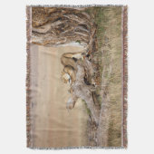 Couverture Lioness stretching (devant Vertical)
