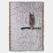 Couverture L'Oie du Canada sur le lac (devant Vertical)