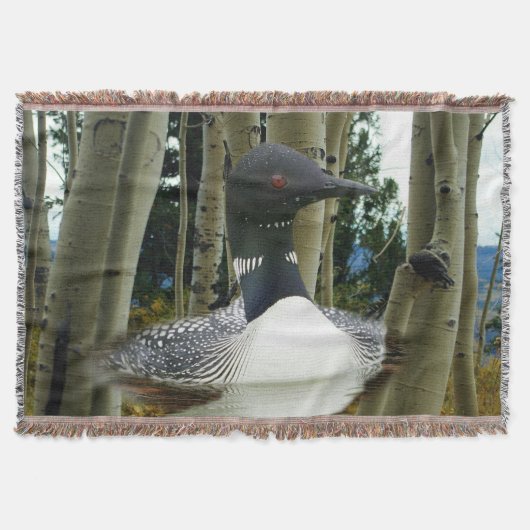 Couverture Loon sauvage (Devant)