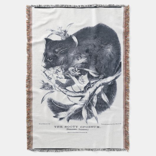 Couverture L'Opossum de Sooty (devant Vertical)