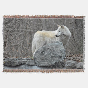 Couverture Loup