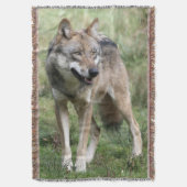 Couverture Loup 19 (devant Vertical)