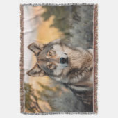 Couverture Loup dans la nature (devant Vertical)