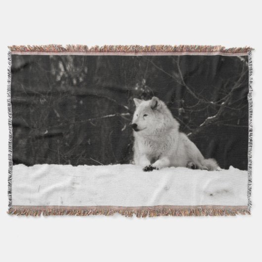 Couverture Loup de Neige (Devant)