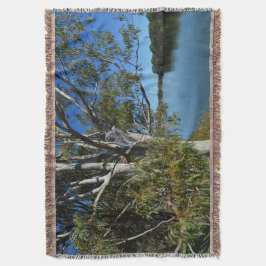 Couverture L'Ours De Koala Dormait Dans Un Arbre De Gomme, (devant Vertical)