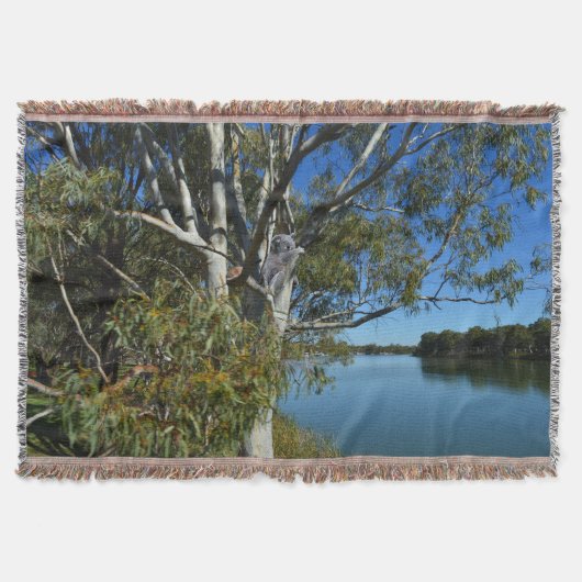 Couverture L'Ours De Koala Dormait Dans Un Arbre De Gomme, (Devant)