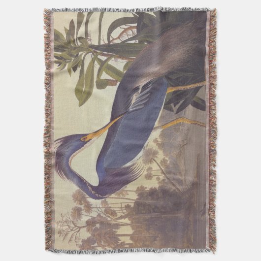 Couverture Lousiana Heron en gris, vert et bleu par Audubon (devant Vertical)