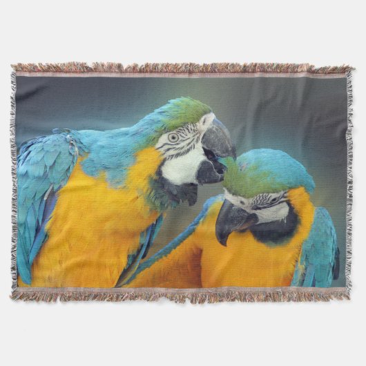Couverture Macaws in love (Devant)