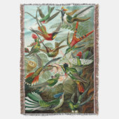 Couverture Magnifiques colibris Ernst Haeckel (devant Vertical)