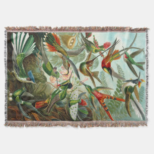 Couverture Magnifiques colibris Ernst Haeckel