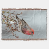 Couverture Maison Finch en Neige - Photo originale (Devant)