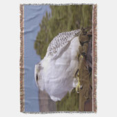 Couverture Majestic Gyrfalcon (devant Vertical)