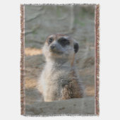 Couverture Meerkat 004 (devant Vertical)