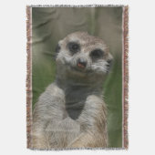 Couverture Meerkat 004 (devant Vertical)