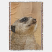 Couverture Meerkat 011 (devant Vertical)
