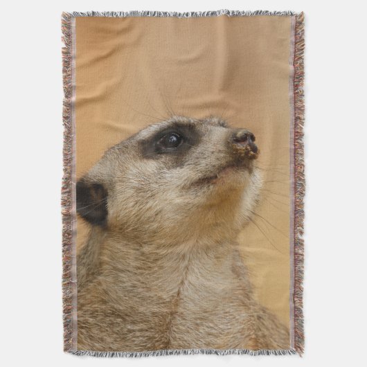 Couverture Meerkat 011 (devant Vertical)