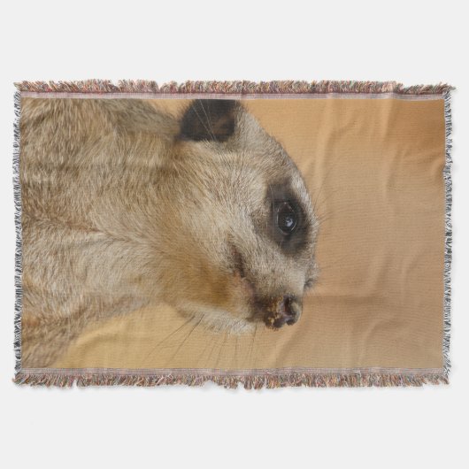 Couverture Meerkat 011 (Devant)