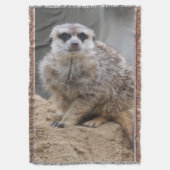 Couverture Meerkat 021 (devant Vertical)