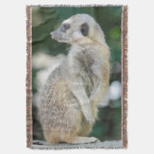 Couverture Meerkat 025 (devant Vertical)