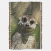 Couverture Meerkat 034 (devant Vertical)