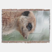 Couverture Meerkat 180 (Devant)