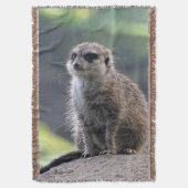 Couverture Meerkat_20171101_by_JAMFoto (devant Vertical)