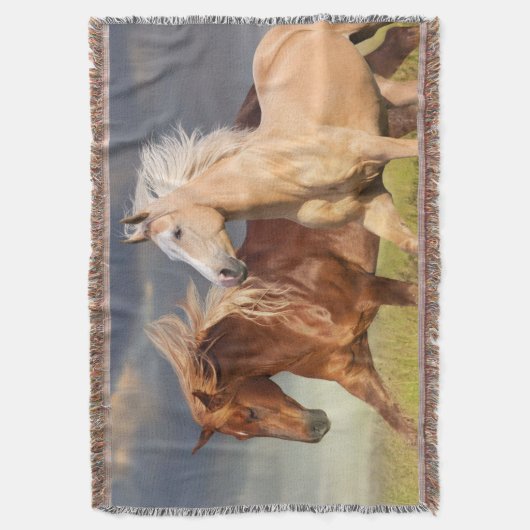 Couverture Meilleurs amis Sherpa Blanket (devant Vertical)