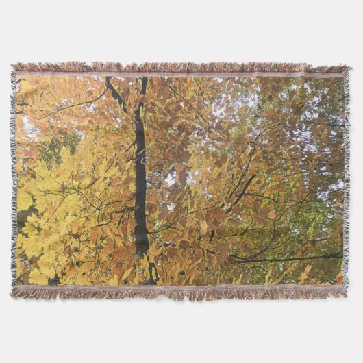 Couverture Mi-octobre arbres 2 Jeter (Devant)