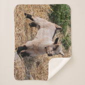 Couverture mignonne de Sherpa d'enfant (Devant)