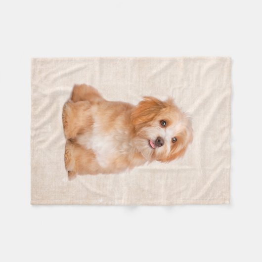 Couverture mignonne d'ouatine de chiot de Havanese (Devant (Horizontal))