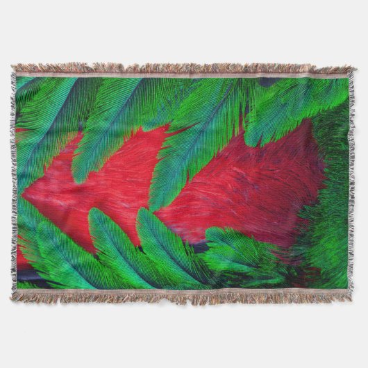 Couverture Modèle de plume Quetzal resplendant (Devant)