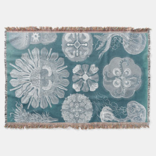 Couverture Modèle IV de vie marine