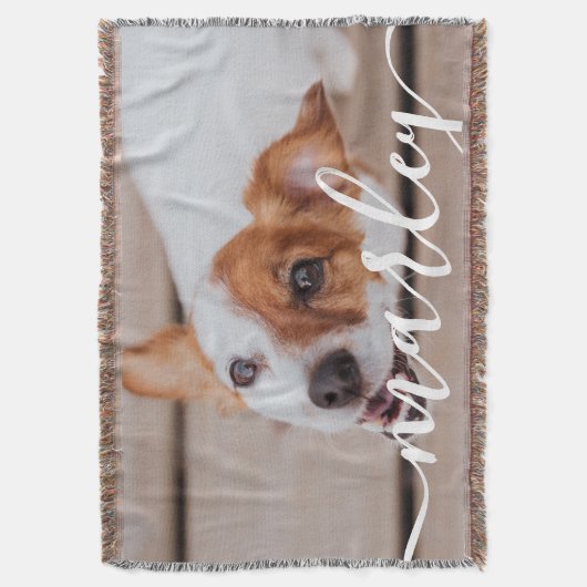 Couverture Moderne Simple Jouer Élégant Chic Pet Photo (devant Vertical)