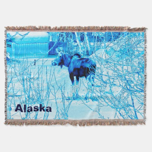 Couverture Moose urbaine (Devant)