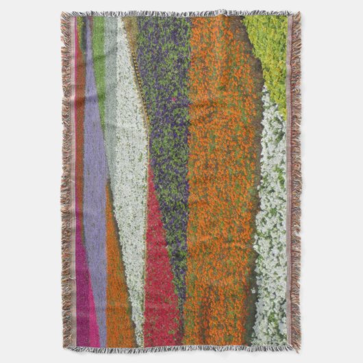 Couverture Moquette à fleurs (devant Vertical)