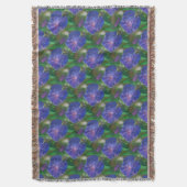 Couverture Morning Glory (Ipomoea Purpurea) Petals et Dew Dr. (devant Vertical)