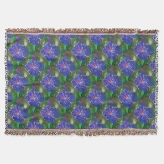 Couverture Morning Glory (Ipomoea Purpurea) Petals et Dew Dr. (Devant)