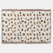 Couverture Motif animal 1 (Devant)