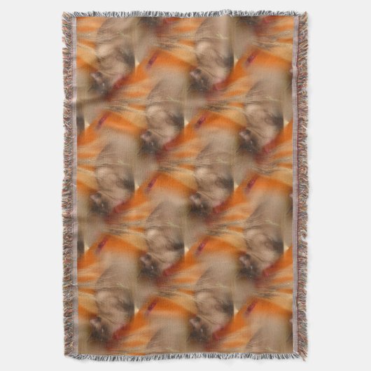 Couverture Motif animal chat de Siamese (devant Vertical)