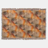 Couverture Motif animal chat de Siamese (Devant)