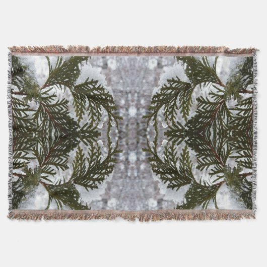 Couverture Neige sur les branches À feuillage persistant (Devant)