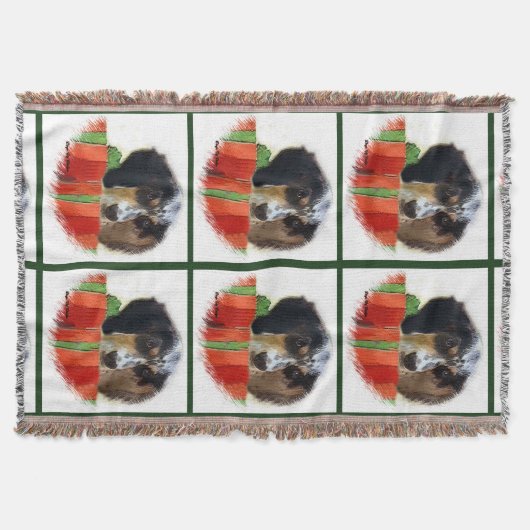 Couverture Noël français Setter (Devant)