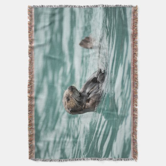 Couverture Observation de la Loupe de mer (devant Vertical)